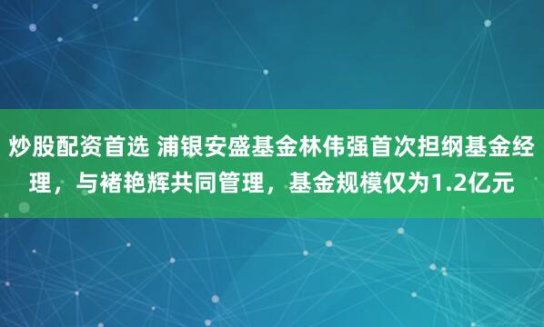 炒股配资首选 浦银安盛基金林伟强首次担纲基金经理，与褚艳辉共同管理，基金规模仅为1.2亿元