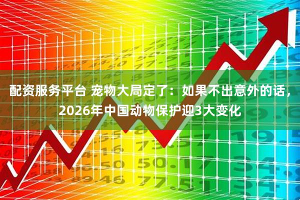 配资服务平台 宠物大局定了：如果不出意外的话，2026年中国动物保护迎3大变化